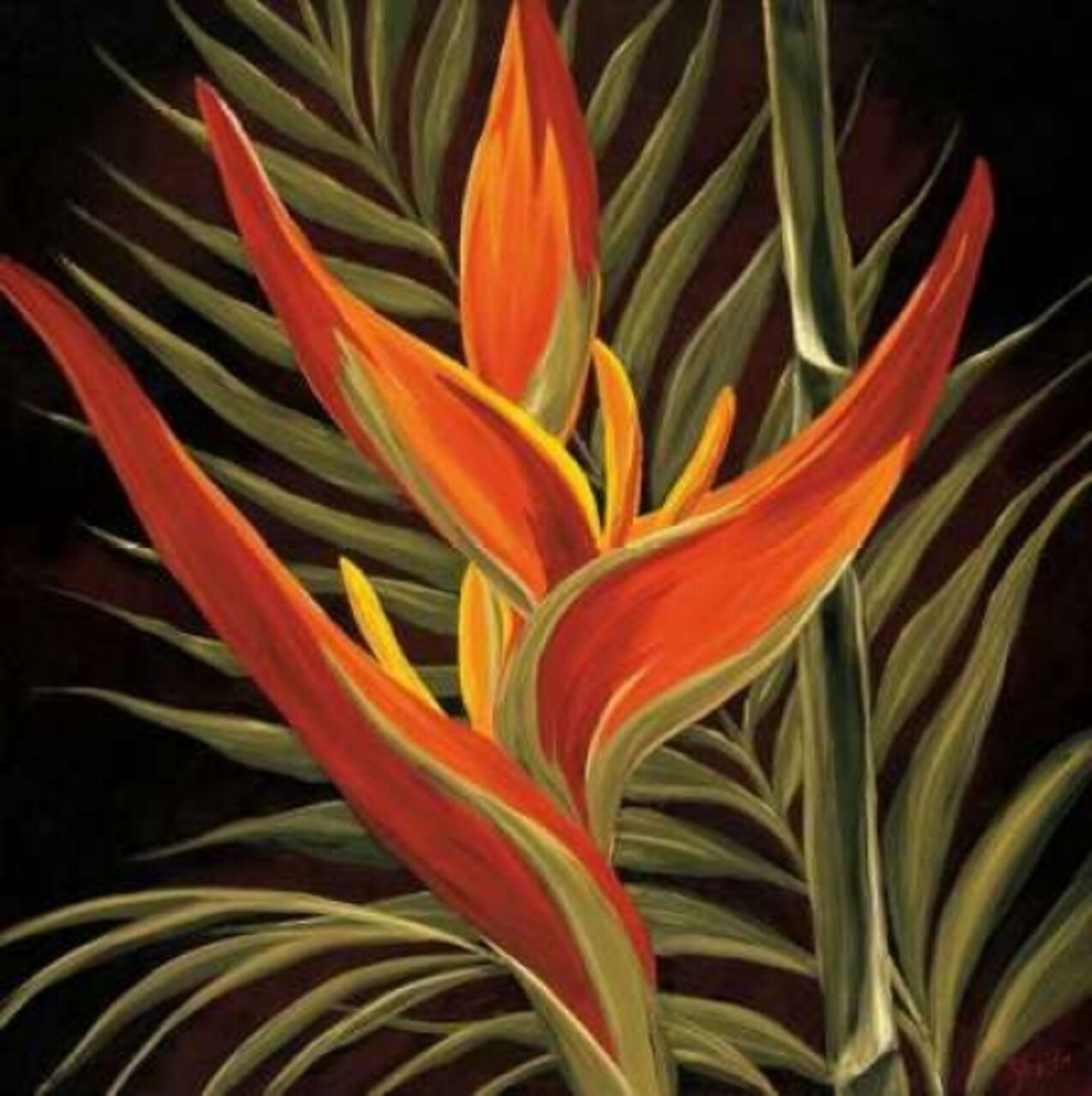 Birds of Paradise I Poster Print by Yvette St. Amant - Item # VARPDX5525
